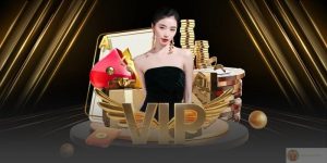 Thưởng VIP – Chương Trình Đặc Quyền Tri Ân Hội Viên